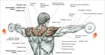 Lateral raises with dumbbells
