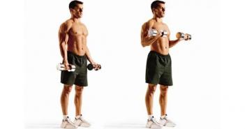 Quickly pump up your biceps at home with two exercises