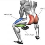 Goblet squats, their benefits and features of the technique